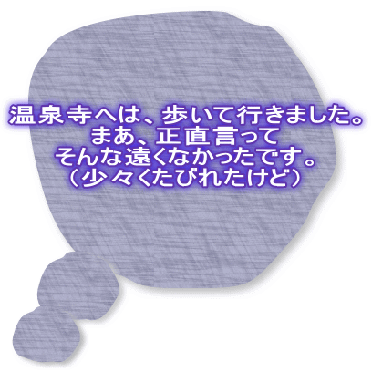 温泉寺へは、歩いて行きました。 まあ、正直言って そんな遠くなかったです。 （少々くたびれたけど） 