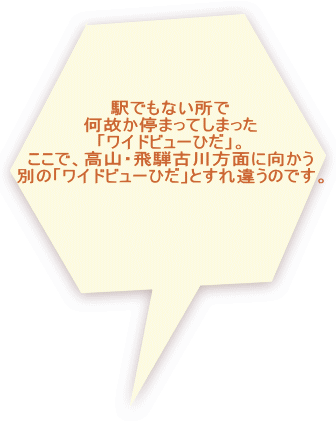 駅でもない所で 何故か停まってしまった 「ワイドビューひだ」。 ここで、高山・飛騨古川方面に向かう 別の「ワイドビューひだ」とすれ違うのです。 