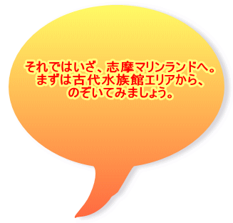 それではいざ、志摩マリンランドへ。 まずは古代水族館エリアから、 のぞいてみましょう。 