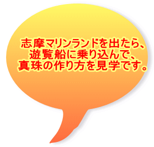 志摩マリンランドを出たら、 遊覧船に乗り込んで、 真珠の作り方を見学です。 