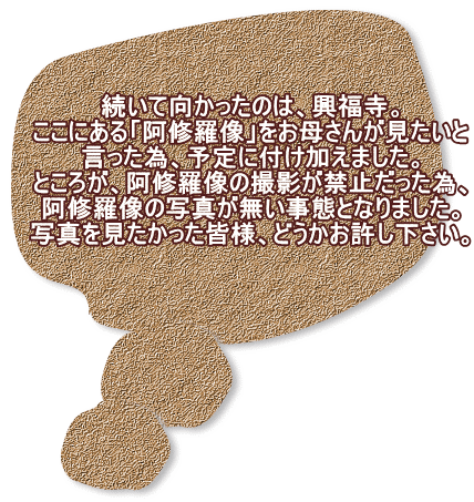 続いて向かったのは、興福寺。 ここにある「阿修羅像」をお母さんが見たいと 言った為、予定に付け加えました。 ところが、阿修羅像の撮影が禁止だった為、 阿修羅像の写真が無い事態となりました。 写真を見たかった皆様、どうかお許し下さい。