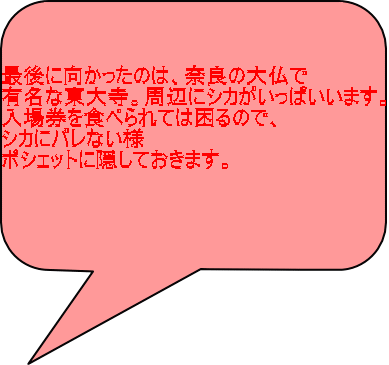 最後に向かったのは、奈良の大仏で 有名な東大寺。周辺にシカがいっぱいいます。 入場券を食べられては困るので、 シカにバレない様 ポシェットに隠しておきます。 