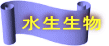 水生生物