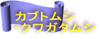 カブトムシ ・クワガタムシ