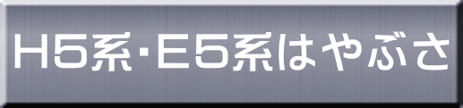 Ｈ５系・Ｅ５系はやぶさ 