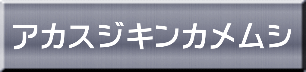 アカスジキンカメムシ 