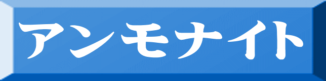 アンモナイト 