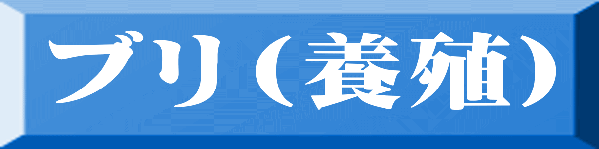 ブリ（養殖） 