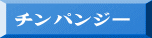 チンパンジー