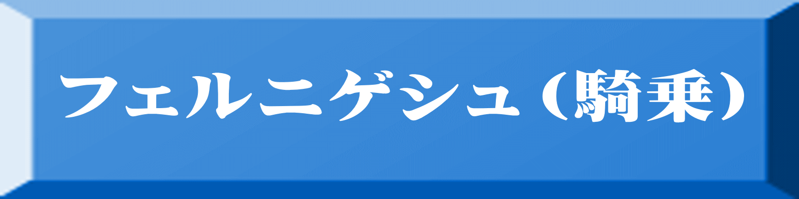 フェルニゲシュ（騎乗） 