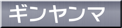 ギンヤンマ 
