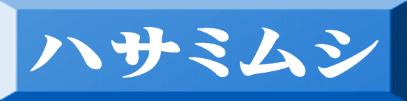ハサミムシ 