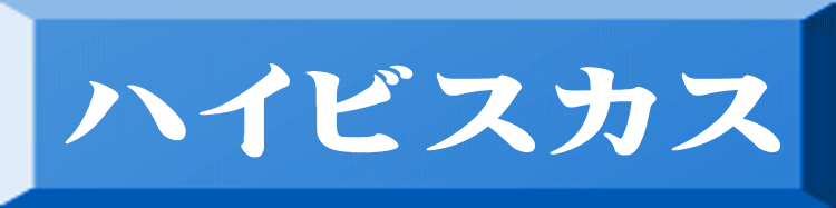 ハイビスカス 