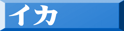 イカ 