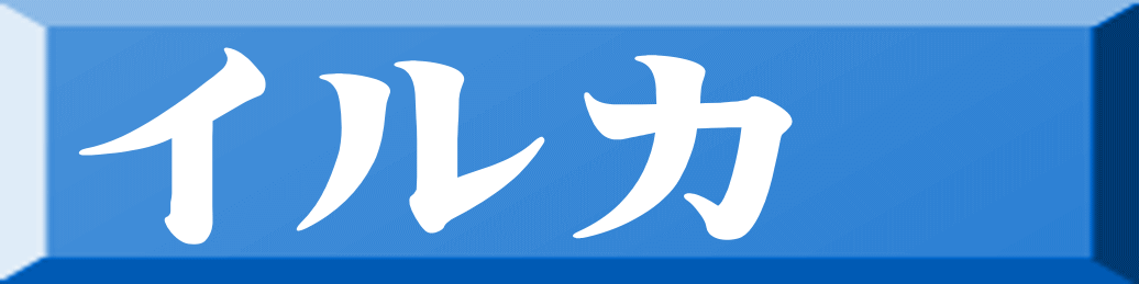 イルカ 