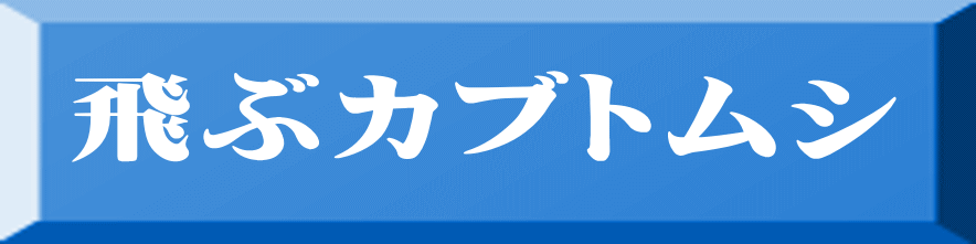 飛ぶカブトムシ 