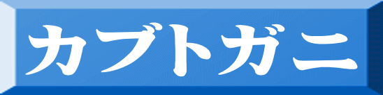 カブトガニ 