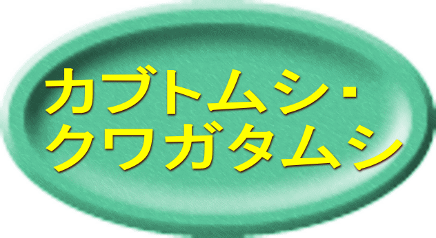 カブトムシ・ クワガタムシ 