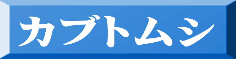 カブトムシ 