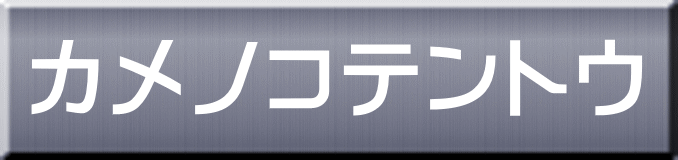 カメノコテントウ 