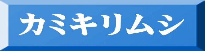 カミキリムシ 