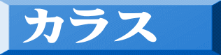 カラス 