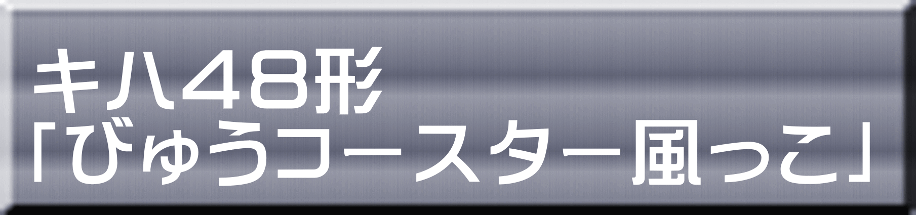 キハ４８形 「びゅうコースター風っこ」 