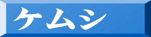 ケムシ 