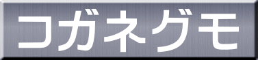 コガネグモ 