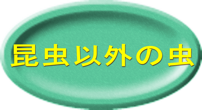 昆虫以外の虫 