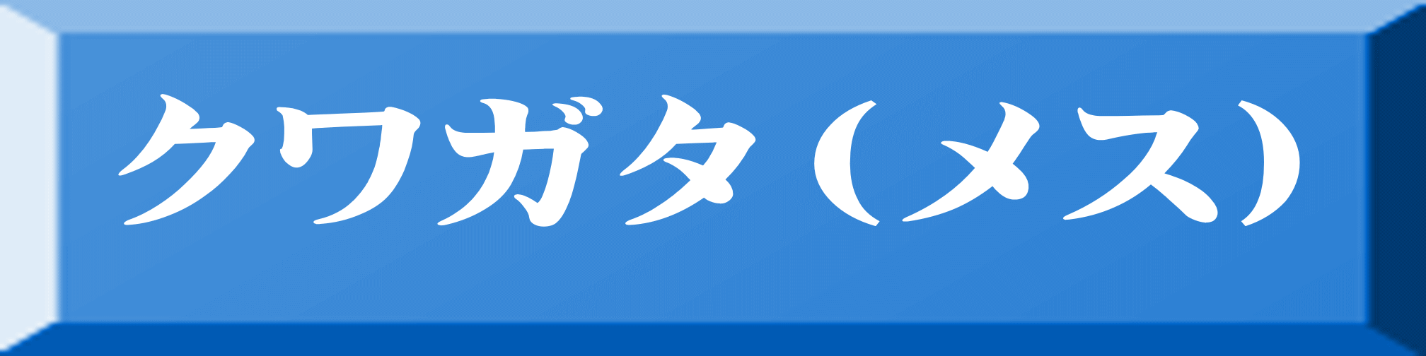 クワガタ（メス） 