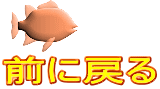 前に戻る 