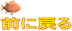前に戻る 