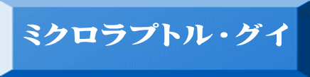 ミクロラプトル・グイ