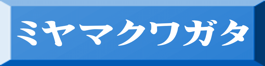 ミヤマクワガタ 