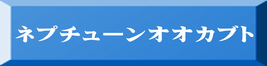 ネプチューンオオカブト 