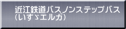近江鉄道バスノンステップバス （いすゞエルガ） 