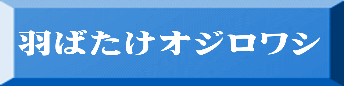 羽ばたけオジロワシ 