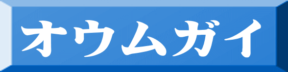 オウムガイ 