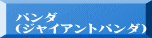 パンダ （ジャイアントパンダ）
