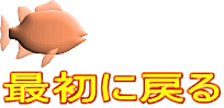 最初に戻る 