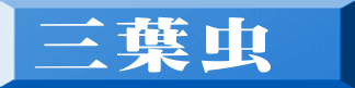 三葉虫 