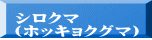 シロクマ （ホッキョクグマ）