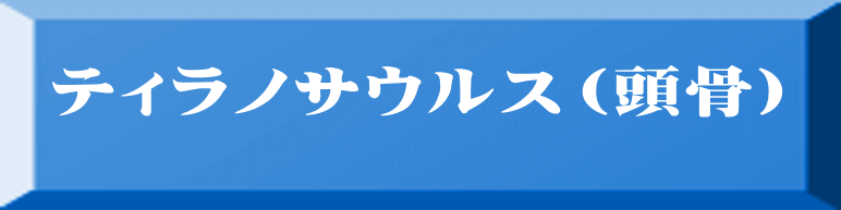 ティラノサウルス（頭骨） 
