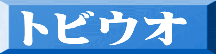 トビウオ 