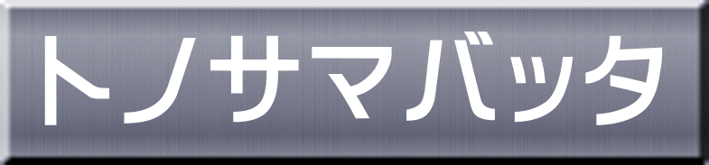 トノサマバッタ 