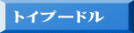 トイプードル