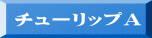 チューリップＡ
