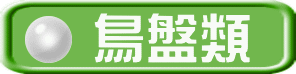 鳥盤類