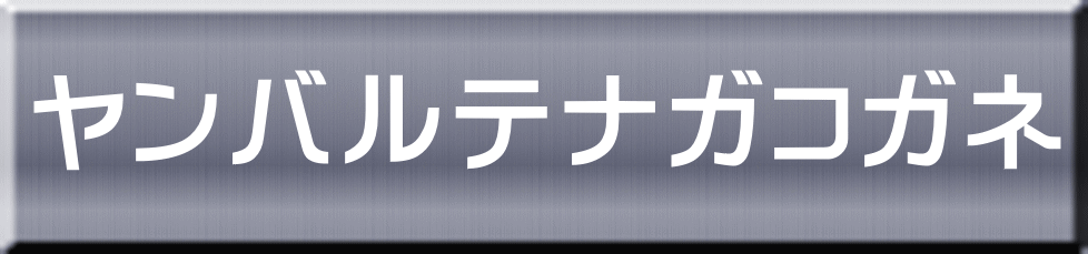 ヤンバルテナガコガネ 
